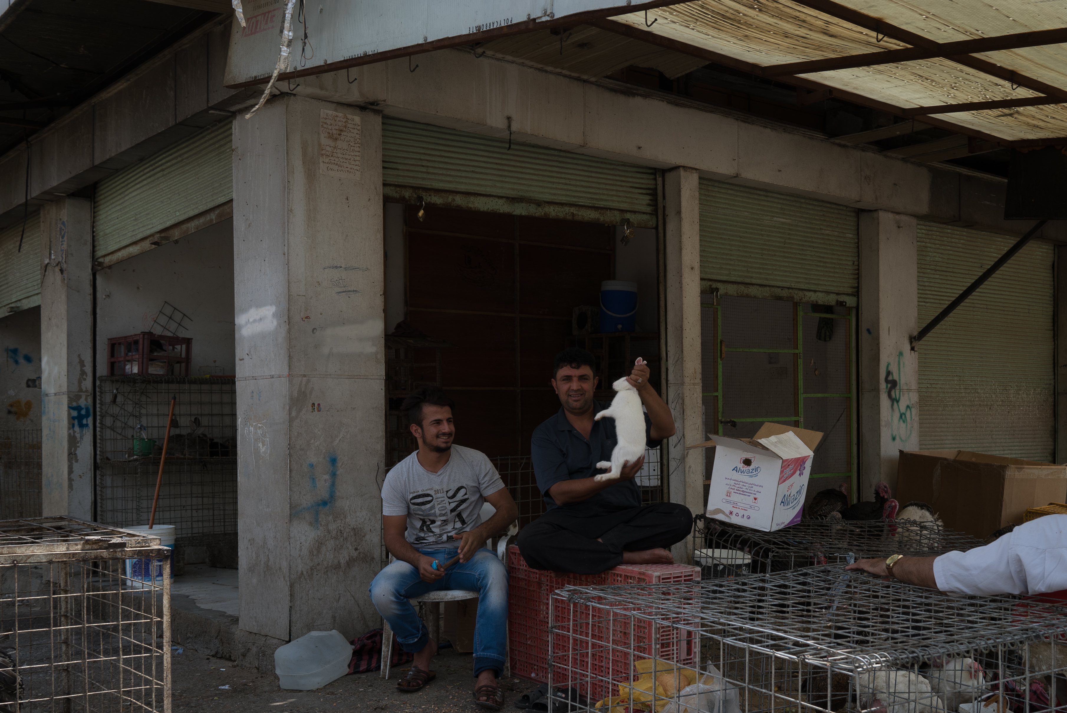 Erbil market for birds and animals, Erbil, Kurdistan Region, June 4, 2016. (Photo: Kurdistan24/Alexandre Afonso)